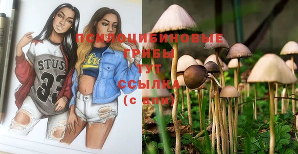 прущие крисы Абинск