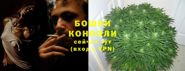 прущие крисы Абдулино