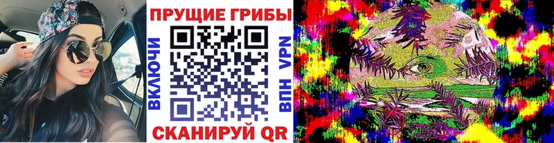 Псилоцибиновые грибы ЛСД  Шилка 